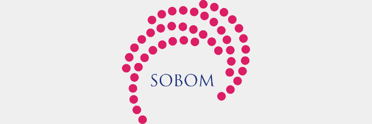 Economic, statistical and political aspects of sovereign bond markets – SOBOM (CSF)